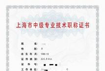 2020年中级职称【土木工程管理】（市政）