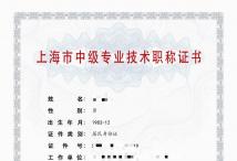 2021年中级职称（计算机应用技术）