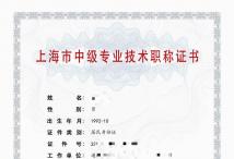 2021年中级职称(材料)