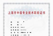 2022年中级职称(数据库与大数据技术)