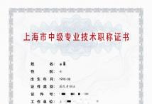 2022年中级职称(工程管理)