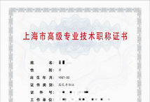 2022年高级职称（基础化工）
