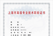 2022年高级职称（项目管理）