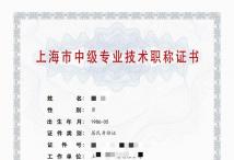 2023年港口中级职称（船舶工程）