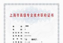 2023年高级集成电路(集成电路制造设备开发和制造)