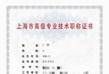 2023年高级集成电路（芯片设计与开发)