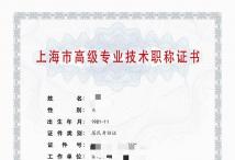 2023高级计算机职称（系统集成）