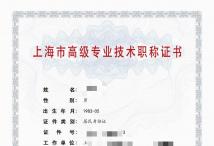 2023年高级上海电气（机械，制冷设备）