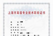 2023年高级上海电气（机械、重型机械、柴油机、制冷设备、